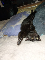 /album/20-10-2025/afbeelding-van-whatsapp-op-2025-10-19-om-21-10-09-1642d7c4-jpg/